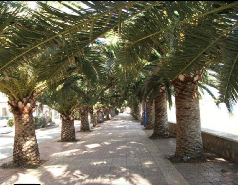 Vcc Home'S El Puerto de Mazarrón Esterno foto